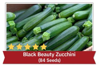 Black Beauty Zucchini (84 Seeds)