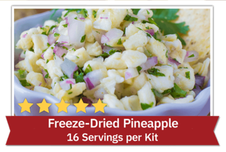Freeze-Dried Pineapple - 16 Servings per kit