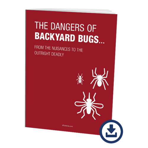 The dangers of backyard bugs digital report