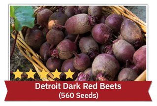 Detroit Dark Red Beets (560 Seeds)