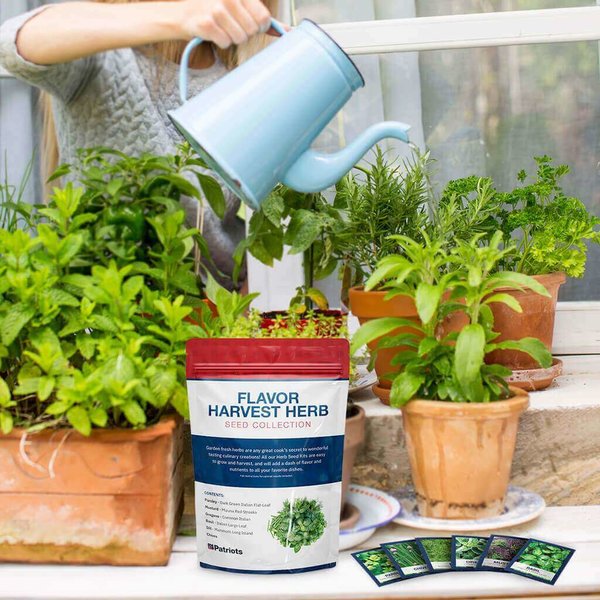 4Patriots Flavor Harvest Herb seed kit in front of someone watering their herbs.