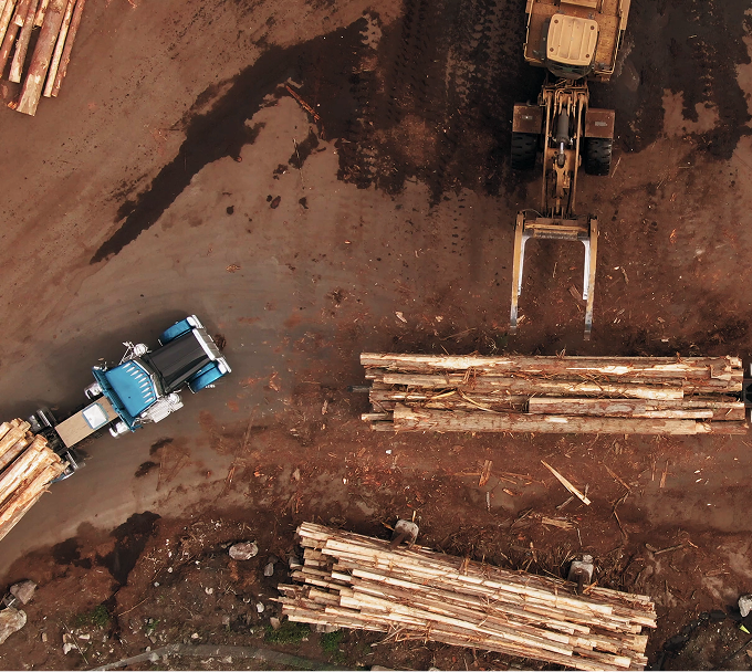 Heavy machinery moving logs on a construction site.