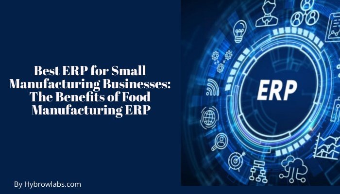 ERP for Small Manufacturing Businesses