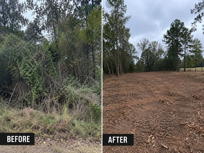 Cleared East Texas land ready to use