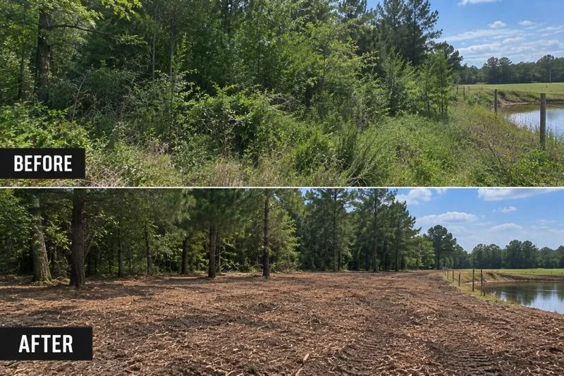Forestry Mulching project example