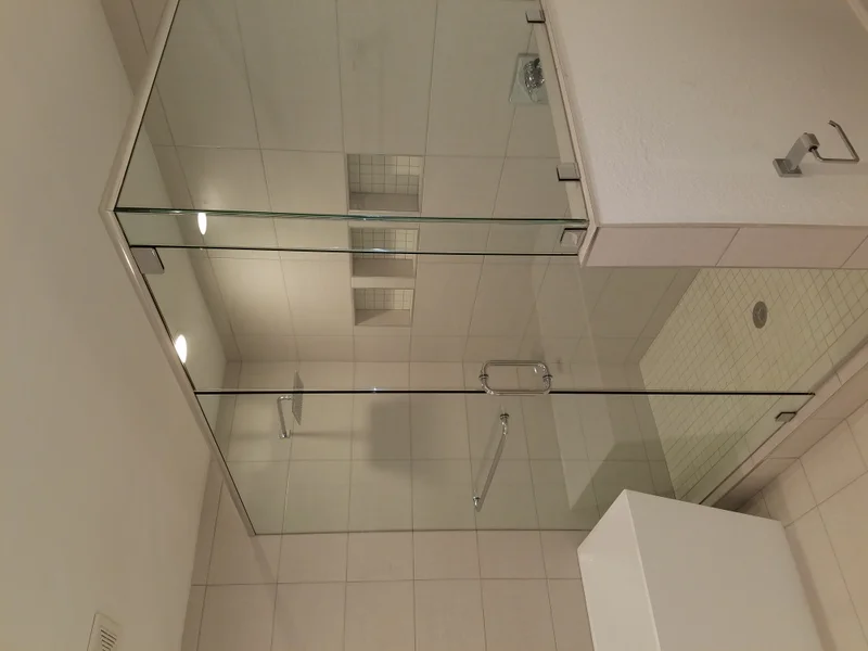 Glass-enclosed tiled shower with recessed niches