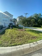 Fresh lawn and a newly planted tree in front of a coastal home