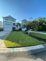 Front lawn and mulched planting bed at a coastal home