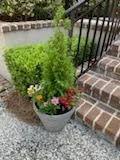 Seasonal flowers planted beside brick front steps