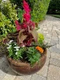 Colorful flower arrangement in a rustic planter