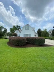 Freshly maintained hedge island in front of a coastal home