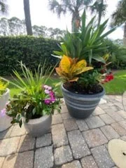 Tropical planters arranged on a paver patio