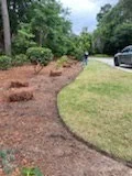 Pine straw planting bed along a manicured lawn