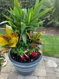 Colorful tropical planter on a paver patio