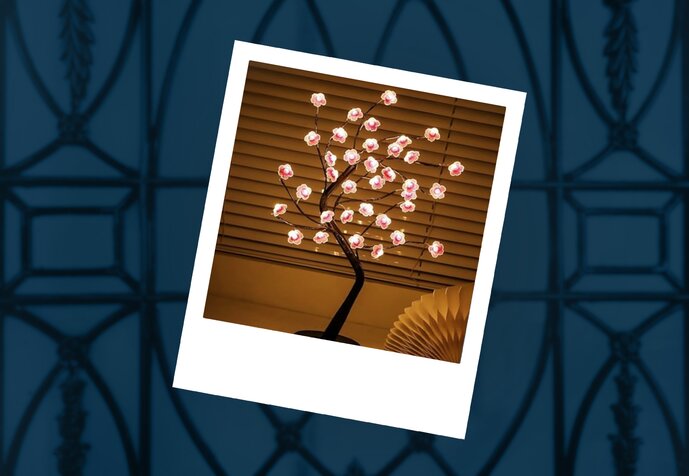 Central employee presenting at an agency council.