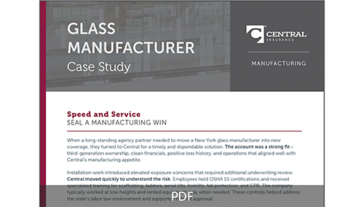 Screen shot of Glass Manufacturer Case Study