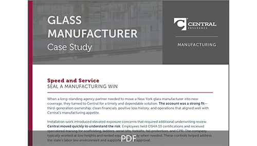 Screen shot of Glass Manufacturer Case Study