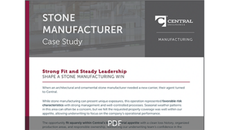 Screen shot of Stone Manufacturer Case Study