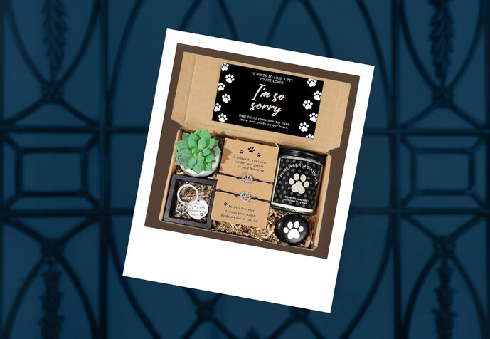 Central employee presenting at an agency council.