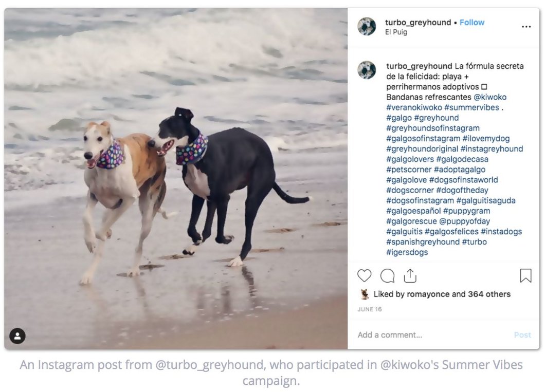 An Instagram post from @turbo_greyhound, one of Kiwoko's pet influencers.