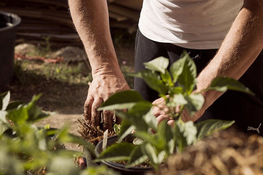 Man gardening as a side business