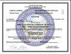 Nevada state license authorizing Minute Loan Center to offer NV loans and deferred deposit services