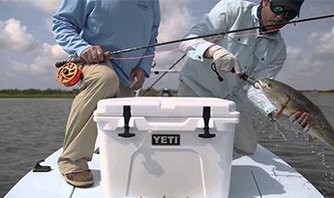 Yeti Cooler