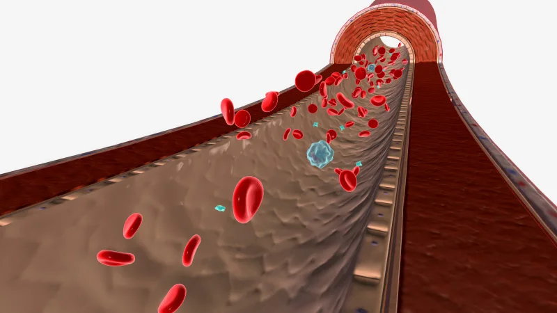 Why Consider an Organic Immune System Booster? Understanding the Science