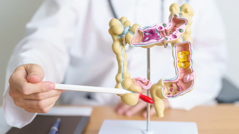 The Science Behind Digestive Enzyme Blends: Fact vs. Fiction