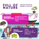 GreenPeach® - Liquid Immune Boost - Image 5