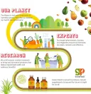 GreenPeach® - Liquid Multi-Vitamin - Image 5