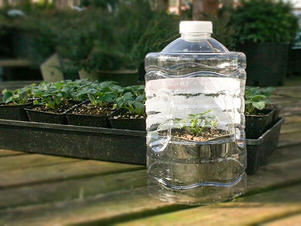 bottle
