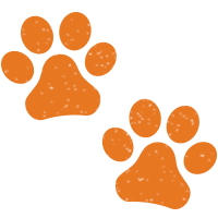 Pet-Friendly