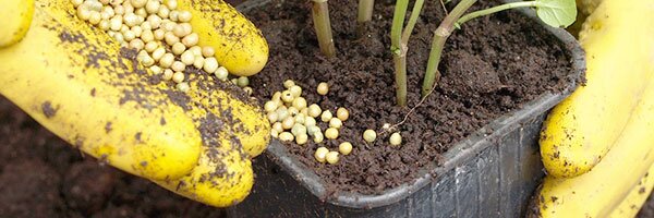 get to know fertilizer