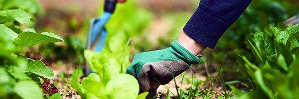 get to know weed killer