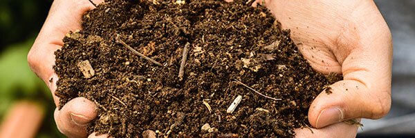know mulch