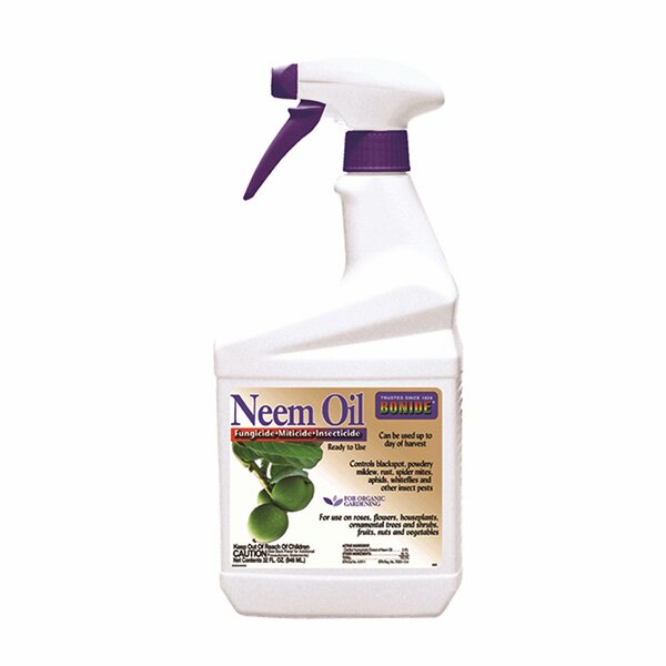 neem oil