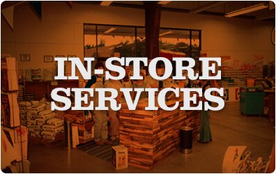 In Store Services