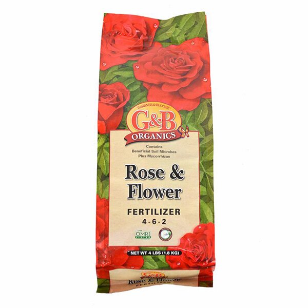 GB rose food