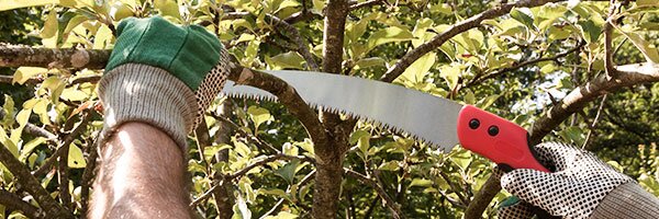 get to know pruners