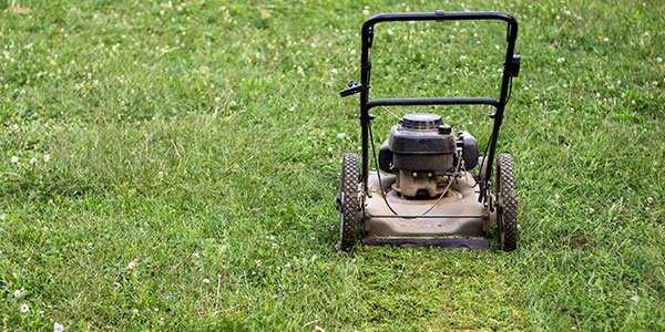 spring lawn