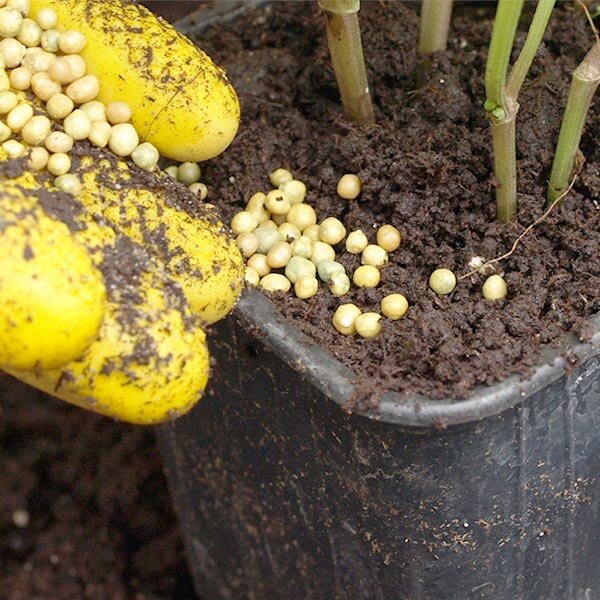 fertilizers