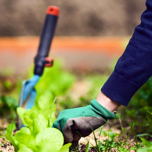 weed killer