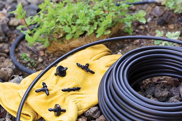 drip irrigation