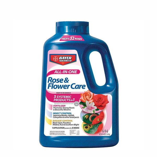 bayer rose care