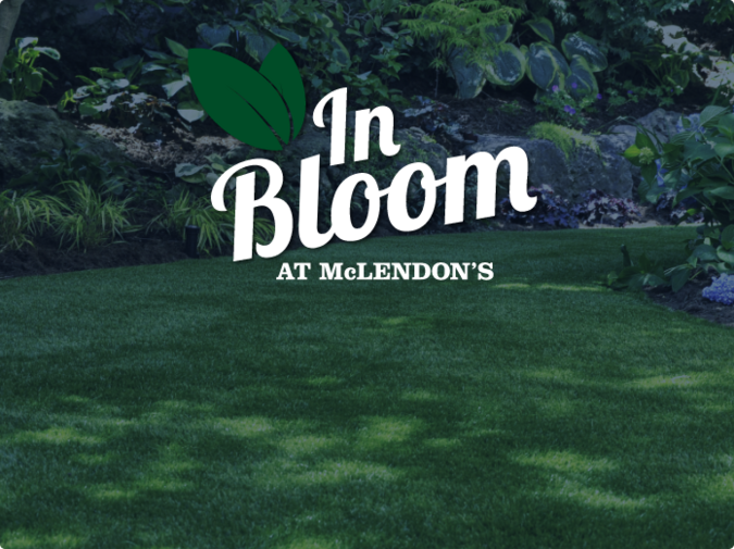 In Bloom at McLendon’s