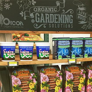 McLendon's sells insects