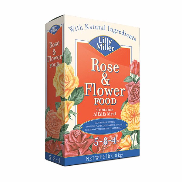 lilly miller rose food