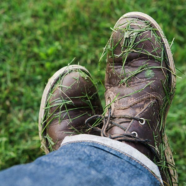 spring lawn products