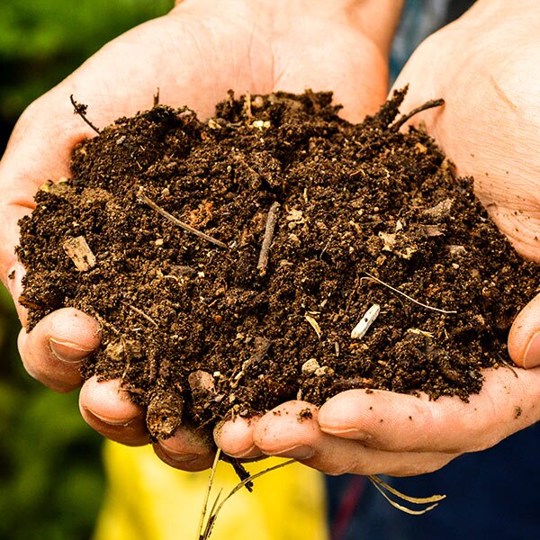 mulch
